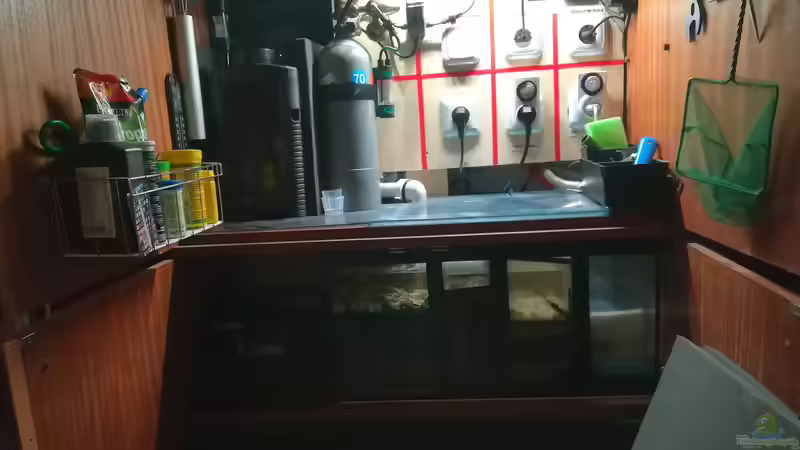 Filterbecken  von Bermuda 3eck (42)