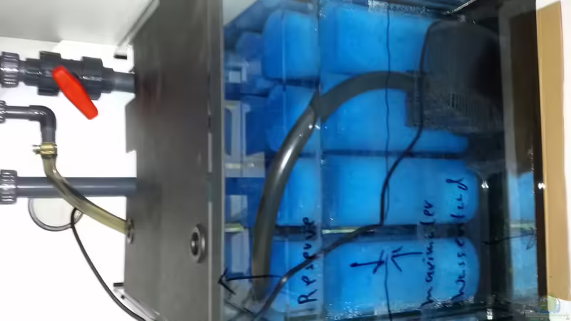 Filterbecken  von Discus (9)