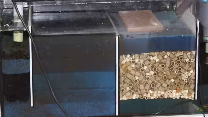 Filterbecken  von JoSchi (3)