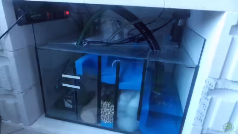 Filterbecken  von Pierre (11)