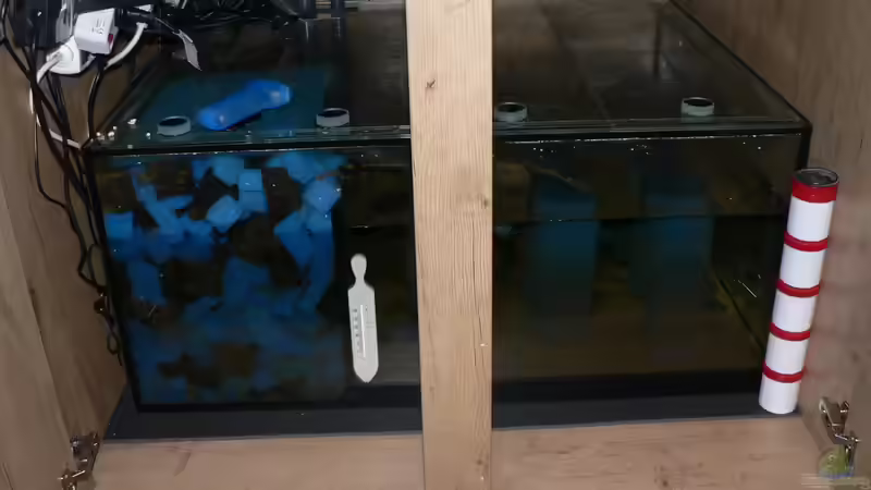 Filterbecken-03 von Baeltes (25)