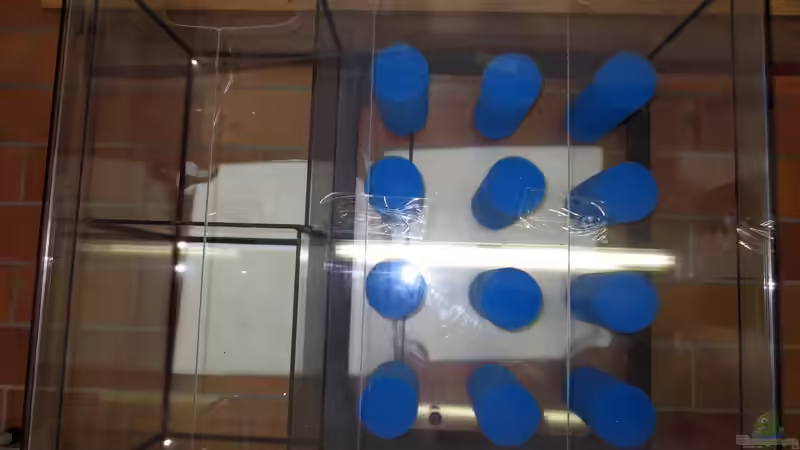 Filterbecken-04 von Baeltes (23)