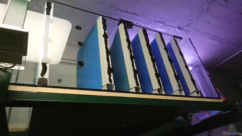 Filterbecken 1 von kellerkind (59)