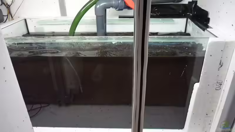 Filterbecken (100x40x50) von Jonas B. (23)