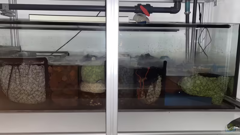 Filterbecken 180x50x45  von Stefan B (6)