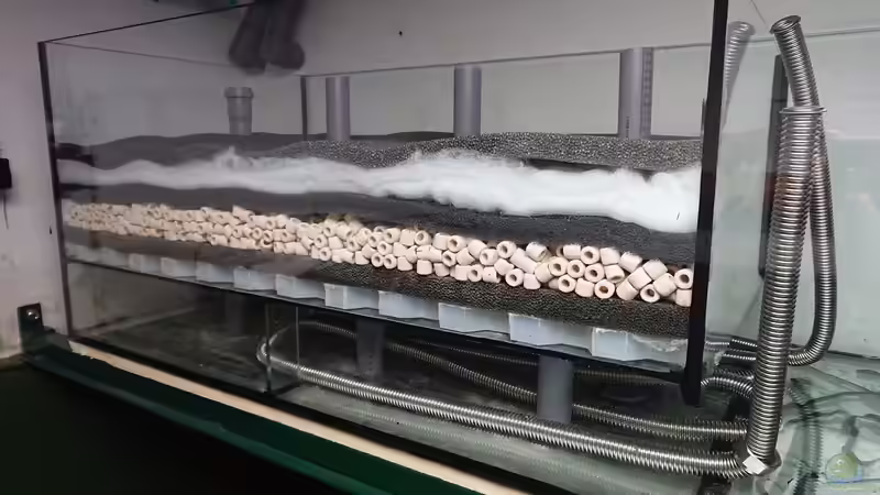 Filterbecken 2 von kellerkind (68)