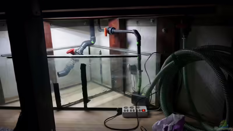 Filterbecken 250 liter von tattooindi (22)