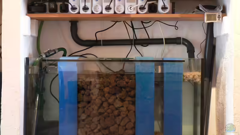 Filterbecken & Technik von Baeltes (9)