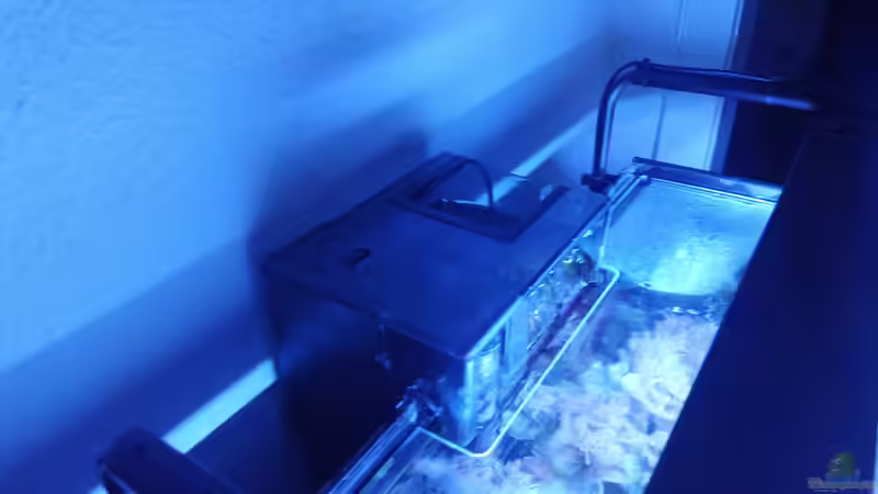 Filterbecken (Aquacelar 70 von Hagen) von Torsten Bullmahn (58)