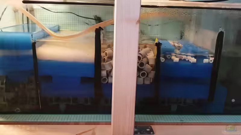 Filterbecken bestückt von Steven Tumma (13)