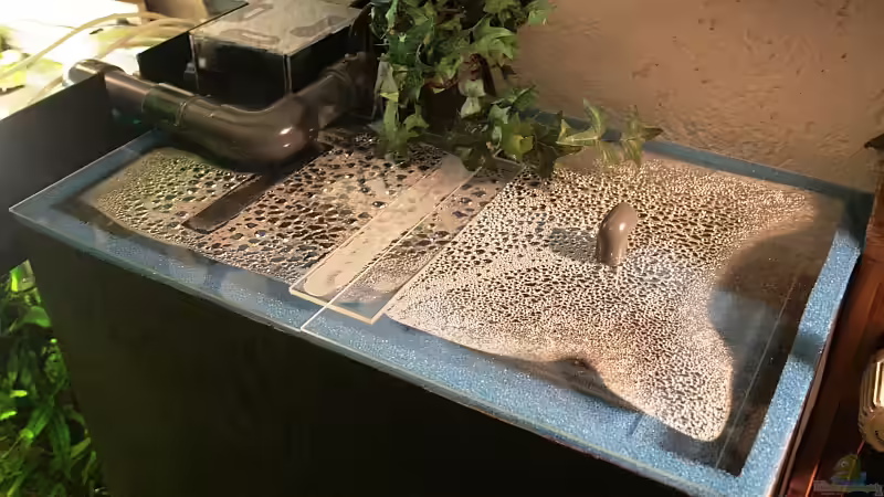 Filterbecken Draufsicht mit Abdeckscheiben und Schaumstoffrand gegen Vibrationen. von Grobi (19)