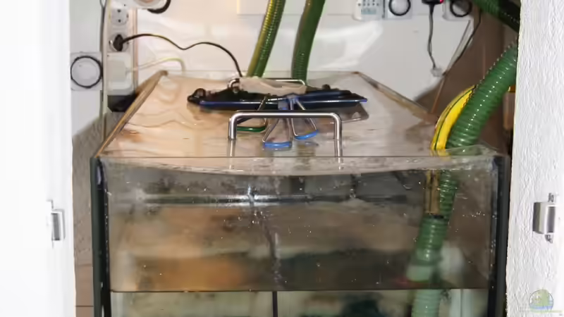 Filterbecken gefüllt und angeschlossen I von Oeli (55)