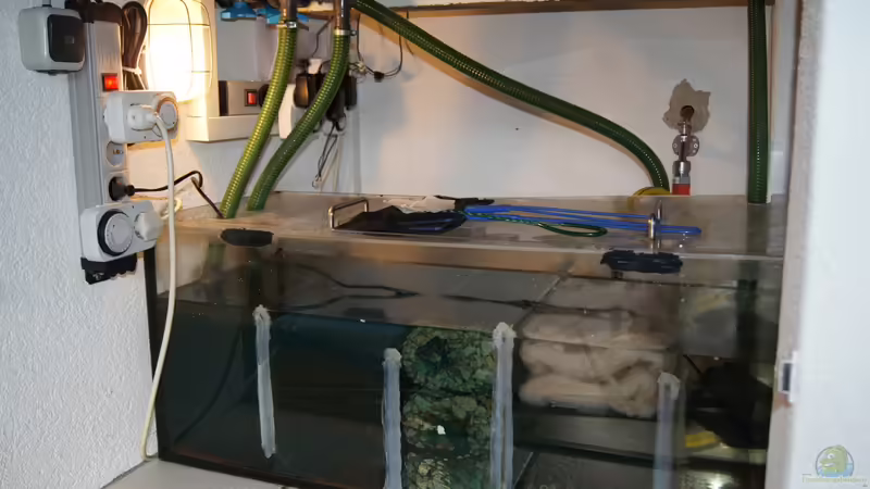 Filterbecken gefüllt und angeschlossen II von Oeli (56)