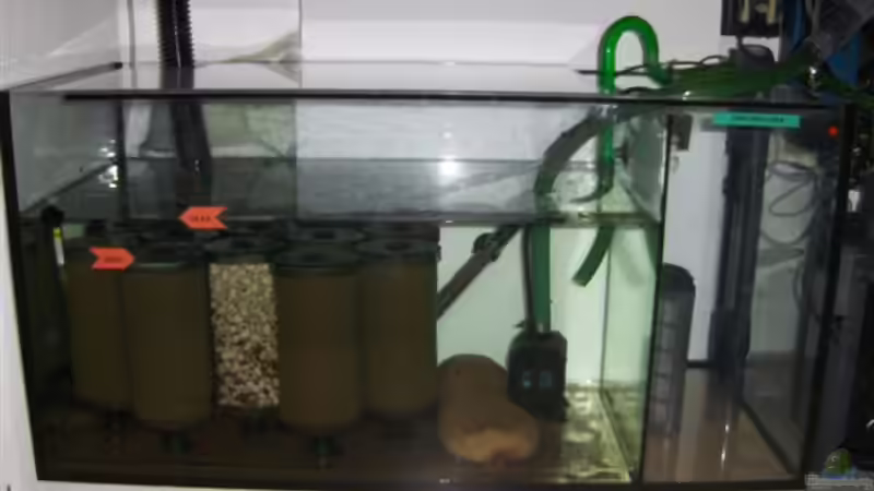 Filterbecken im Einsatz von Ronny Kretschner (9)