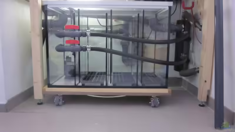 Filterbecken im ´Rohzustand´. ;-) von Holly (16)