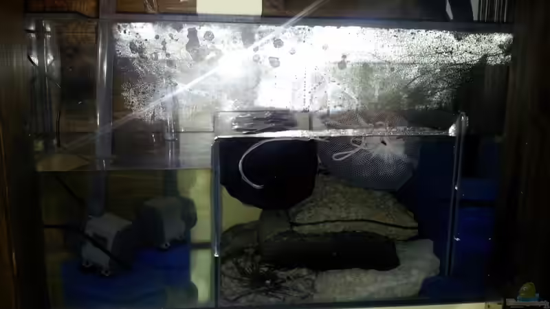 Filterbecken im Unterschrank von Silvio25 (9)