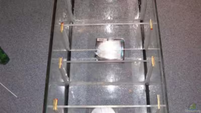 Filterbecken kleben von Oeli (54)