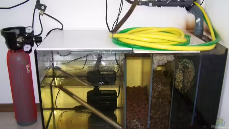 Filterbecken mit 10kg Co² Flasche und Schläuchen fürs Wasswewechseln von Uwe Trauernicht (10)
