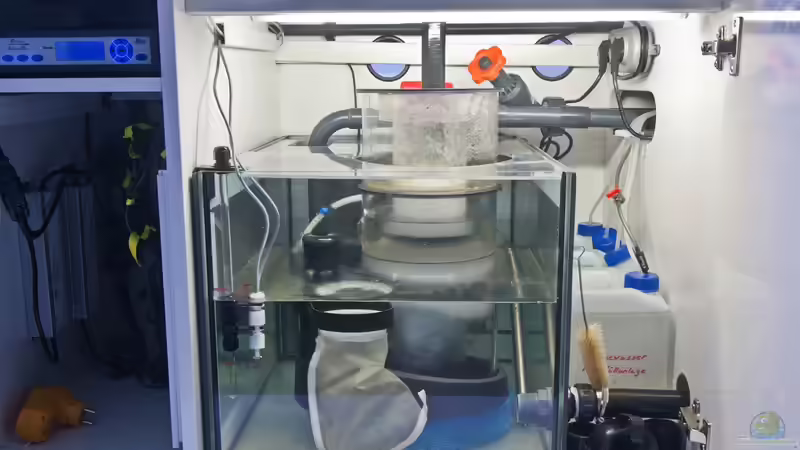 Filterbecken mit Abschäumer Tunze 9415 von MH (18)