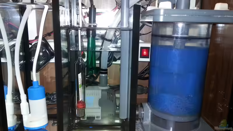 Filterbecken mit Blick auf die Rückförderpumpe und Messelektoden von Jens Kändler (23)