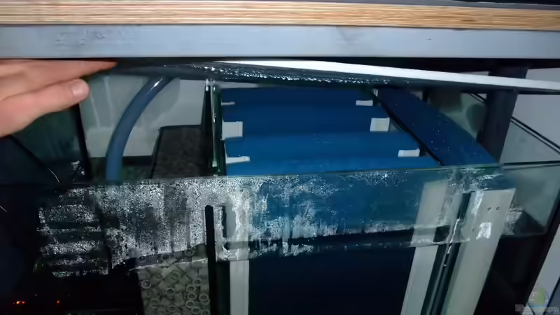 Filterbecken mit Förderpumpe und Heizung von Trooper (43)