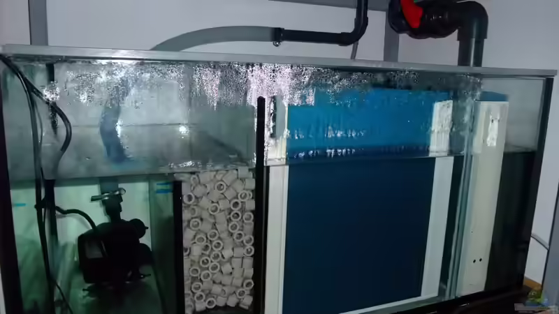 Filterbecken mit Förderpumpe und Heizung von vorne von Trooper (42)