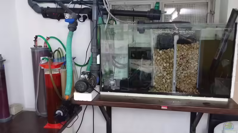 Filterbecken mit Pumpe, UVC und AWAB Anlage von Oliver Boden (78)