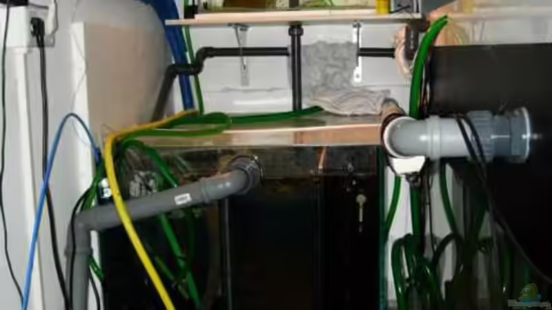 Filterbecken mit Technik und Aufwuchsbecken von buschen-stahl.de (10)