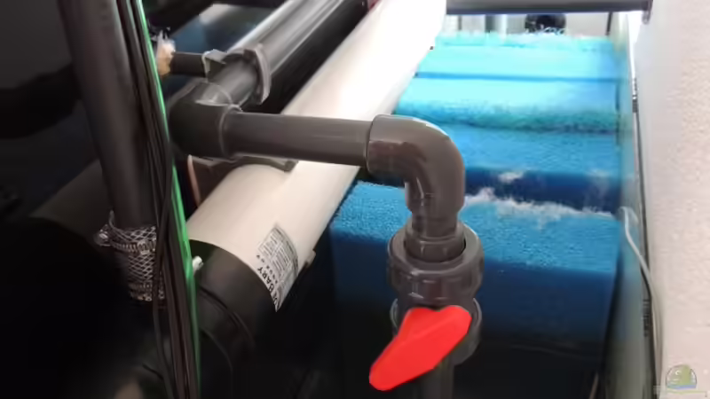 filterbecken mit uv lampe von Nico Beyer (21)