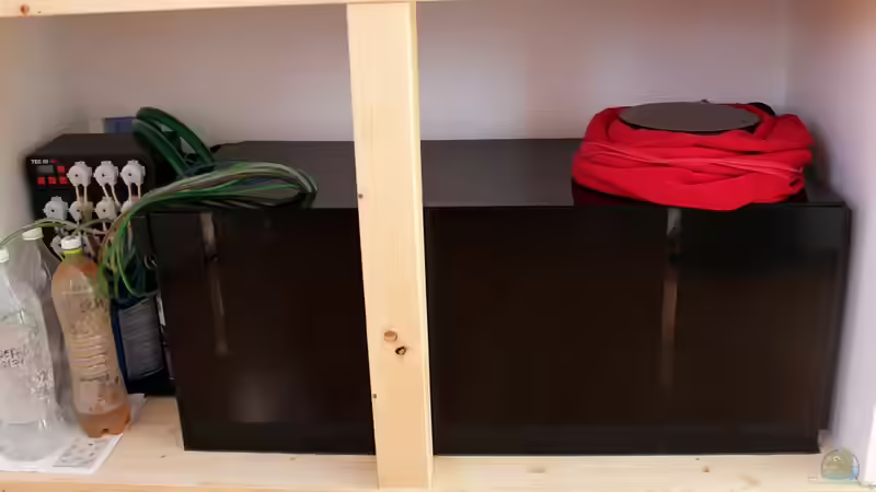 Filterbecken Mitte von The_Lizardking (15)