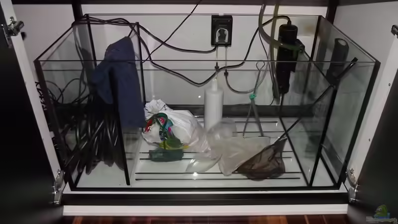 Filterbecken nach dem Umbau mit Uv Klärer und Dosierpumpe von Dr. Manhattan (36)