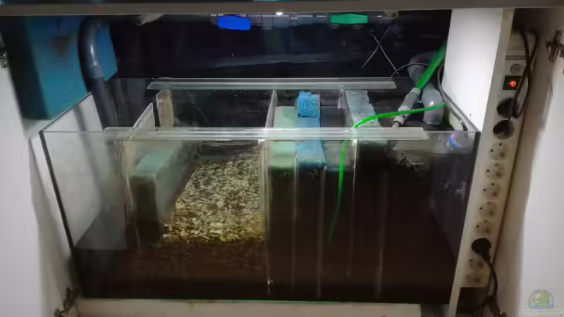 Filterbecken nach dem Umbau von Lance Hardwood (58)