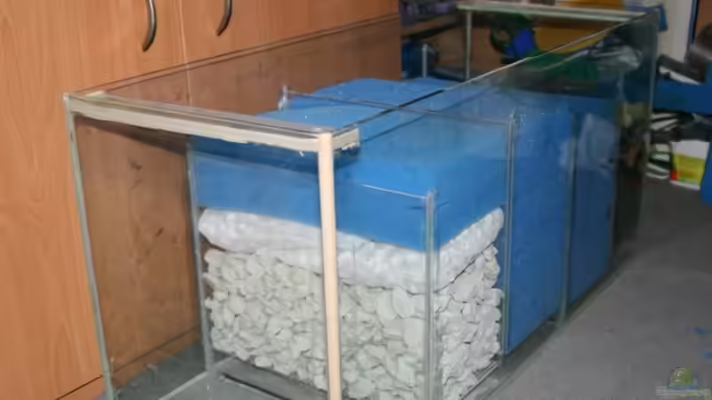 Filterbecken nach Fertigstellung von Holger74 (8)