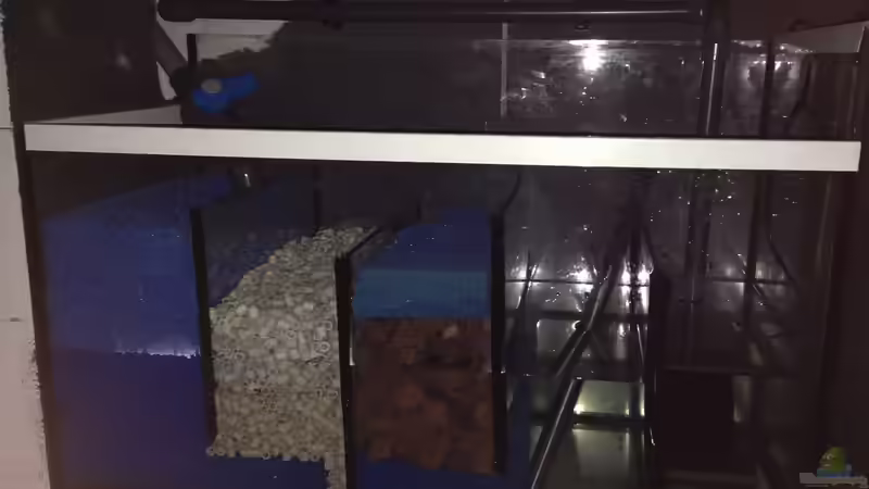 Filterbecken (noch halb gefüllt) von Vidi (5)