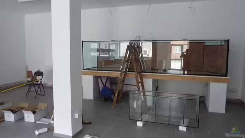 Filterbecken steht schon bereit von aquazonica (5)