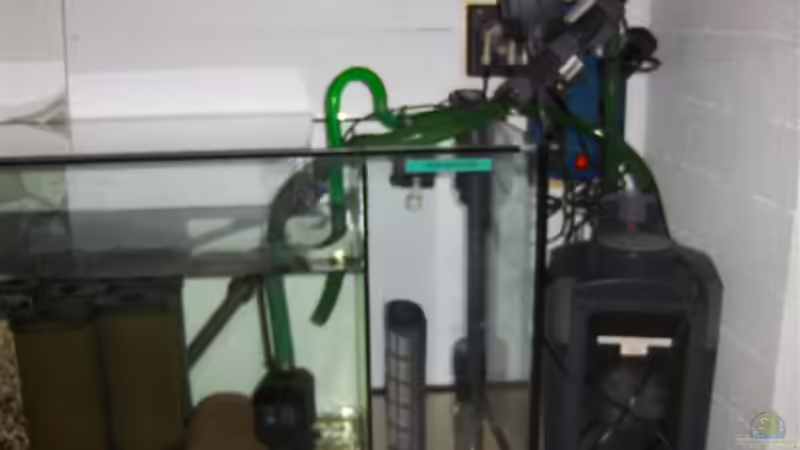 Filterbecken und Eheim 2026 im Einsatz von Ronny Kretschner (10)