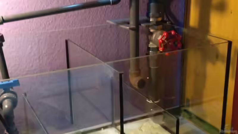 Filterbecken und Verrohrung von Kai Heermann (7)