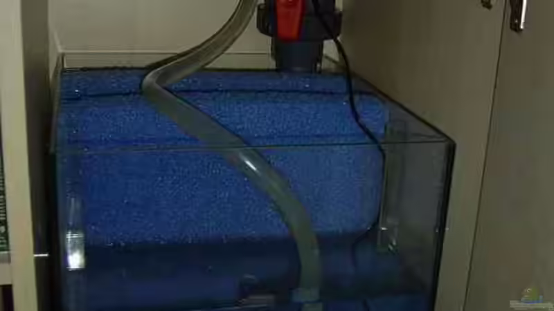 Filterbecken von Alexander Hrkalo (7)