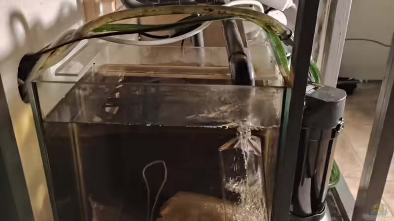 Filterbecken von Amazonas (53)