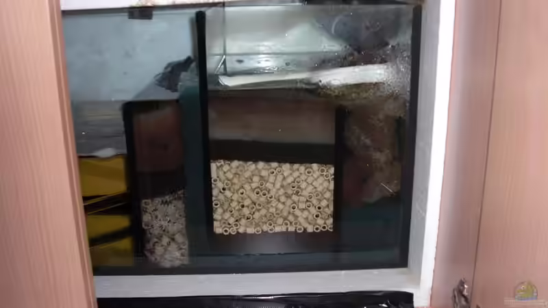 Filterbecken von Amazonas83 (9)