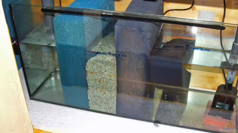 Filterbecken von Antje Raasch (9)