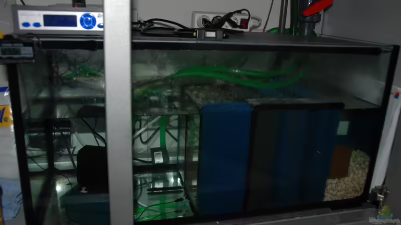 Filterbecken von Daniel Monney (8)