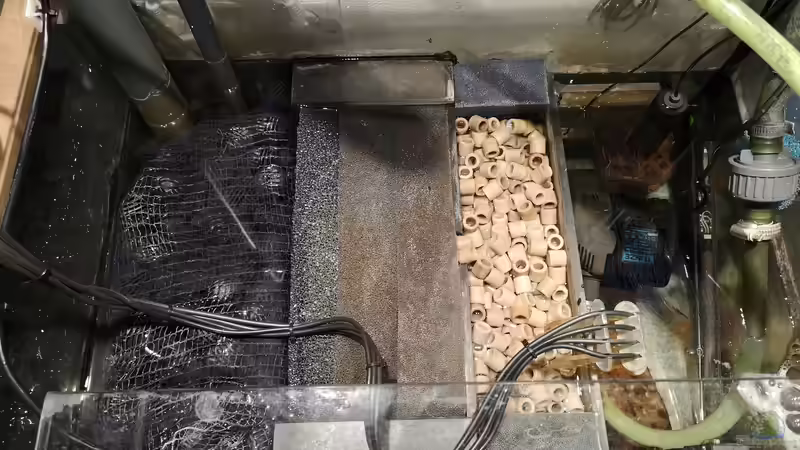 Filterbecken von Der Küstenjunge (38)