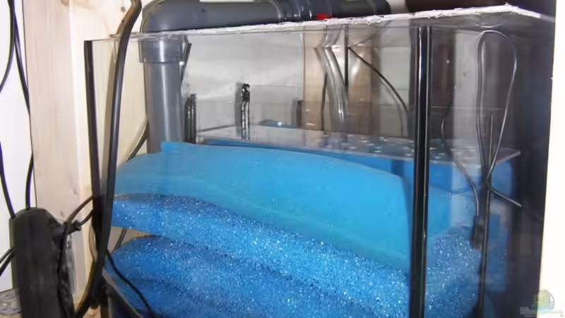 Filterbecken von der Seite von bossie1704 (47)