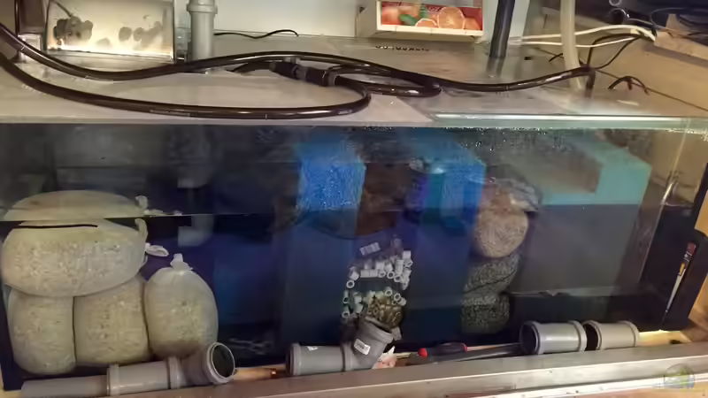 Filterbecken von Duni (6)