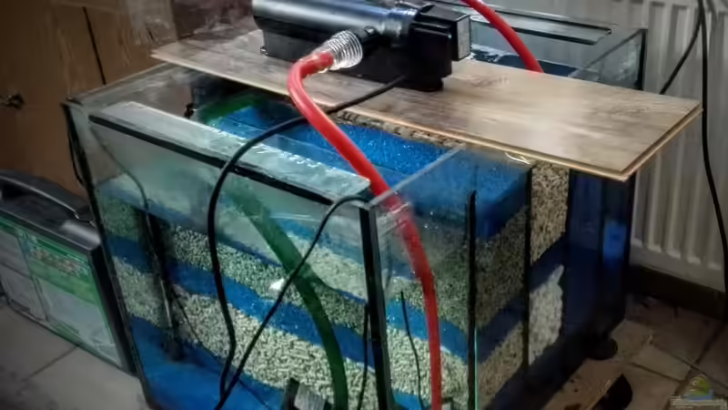 Filterbecken von Elsiman (15)