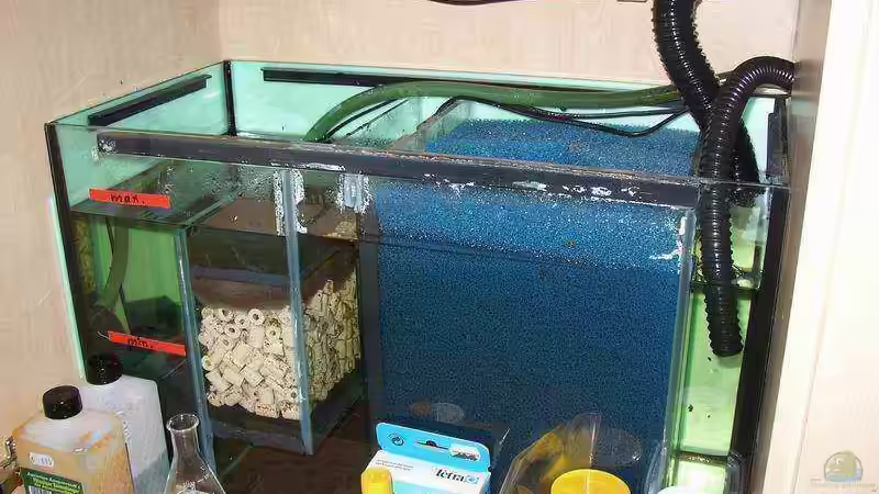 Filterbecken von Joker (5)