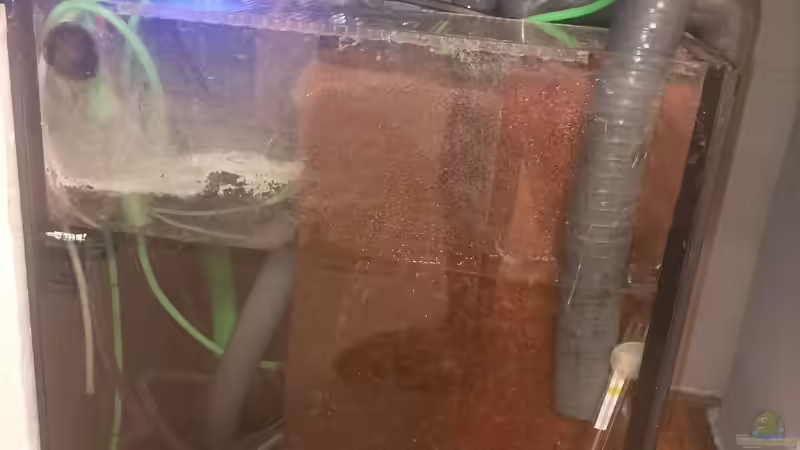 Filterbecken von JonnyGranato (7)