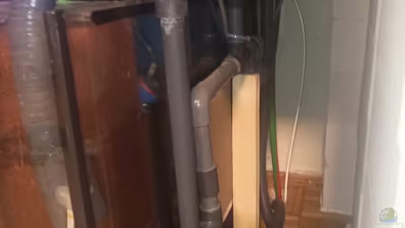 Filterbecken von JonnyGranato (8)