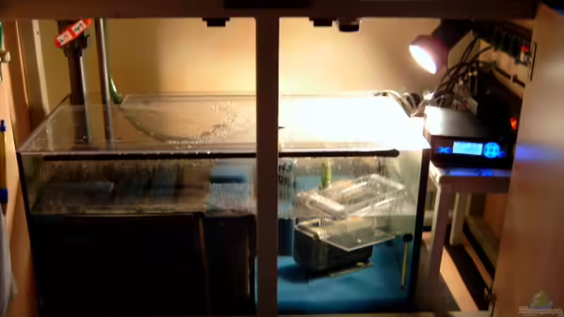 Filterbecken von Josef Knauer (15)